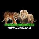 AnimalsAroundUs01