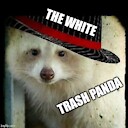 TheWhiteTrashPanda