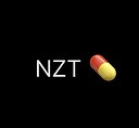 NZTspeech