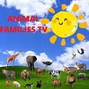 AnimalfamiliesTv