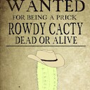 RowdyCacti