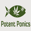 PotentPonics