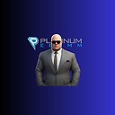 PlatinumEcomm