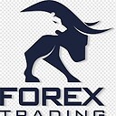 Forextrader24