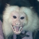 monkeymom