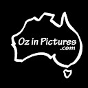 OzinPictures