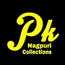 pknagpuricollections