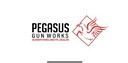 Pegasus_GW