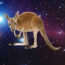 KlingonKangaroo