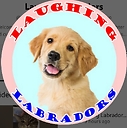 LaughingLabradors