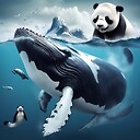 FunnyPandawhale