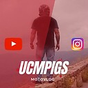 Ucmpigs