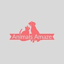 AnimalsAmaze