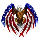 AngryPatriotMovement