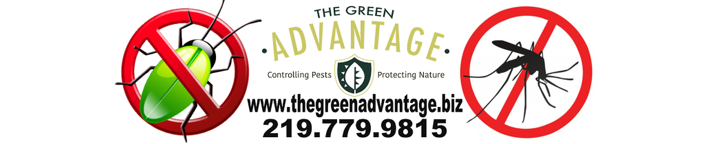 Pest control/Environmental