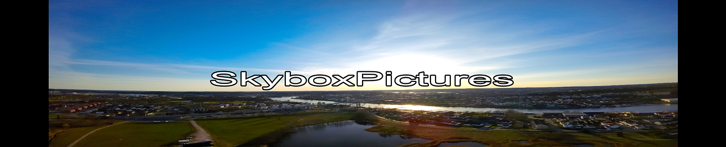 SkyboxPictures | Drone Videos | FPV | Cinematic