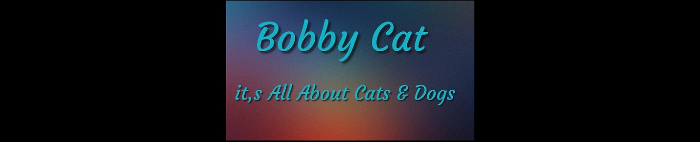 Babby Cats