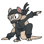 Armadillo Ninja