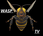 Wasp TV