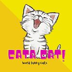 Cata Cat!