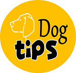 Canal Dog Tips