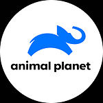 Animal planets