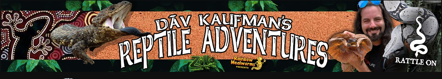 Dav Kaufmans Reptile Adventures