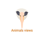 Animals View video