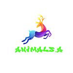 ANIMALS.A