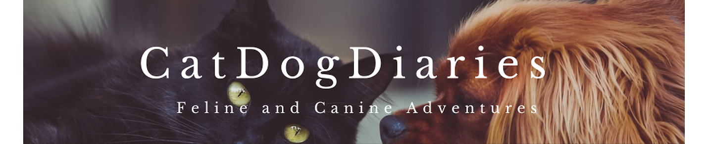 CatDog Diaries