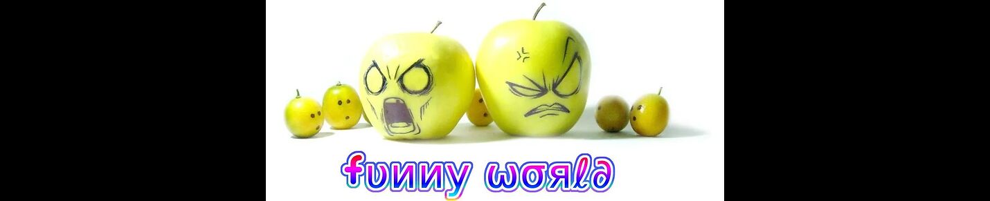 Funny World