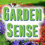 Garden Sense with Tim Ward