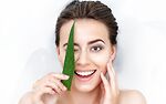 aloe vera treatment