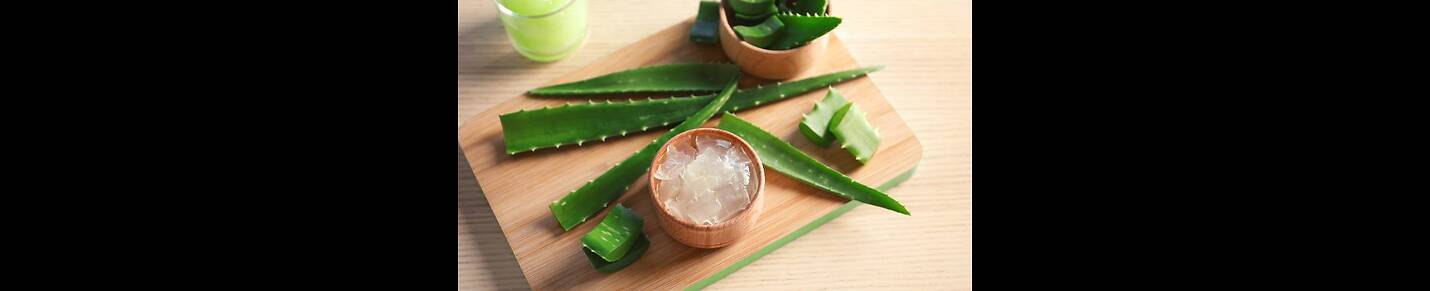 aloe vera treatment