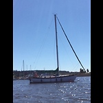 Sailing sv Little Bear