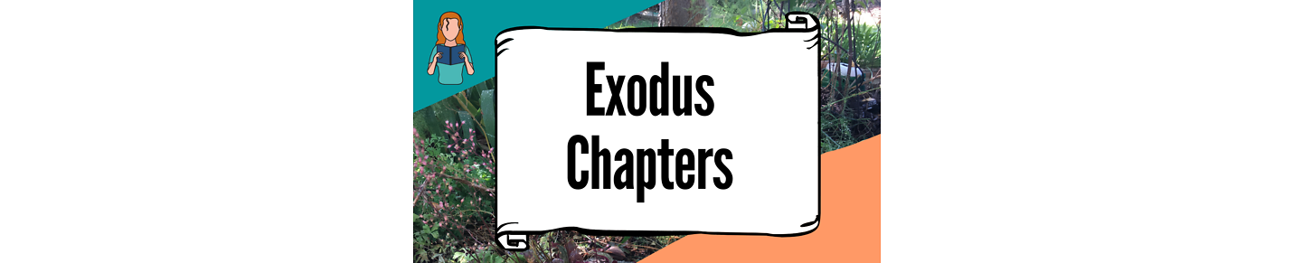 Exodus Bible Chapters