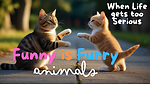 Furry and Funny Animals