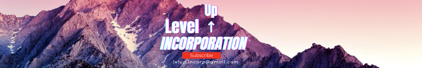 Level up inc