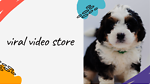 viral video store