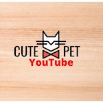 funny pet videos