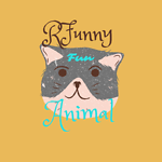 Welcome to Funny Animals' Club channel