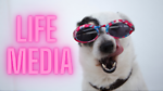 Life Media