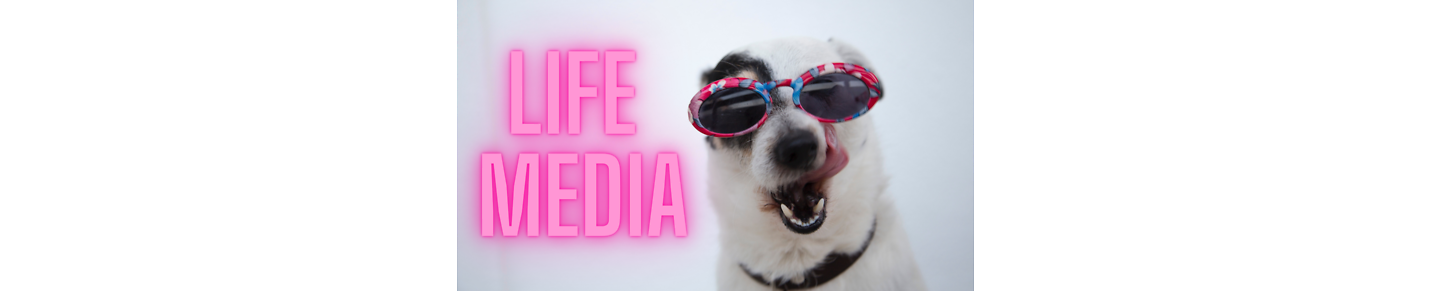 Life Media