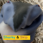 Sharky and Skip