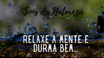 SONS DA NATUREZA - BARULHO DE CHUVA