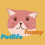 Funny Pets Videos.