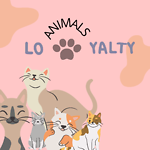 Animals Loyalty
