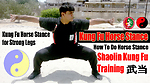 Martial Arts Kung Fu
