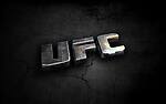 UFC-Universal Fight Championship