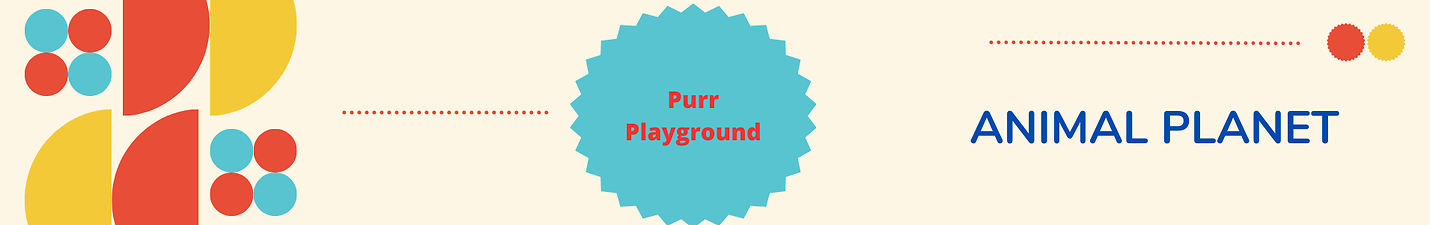 Purr Playground
